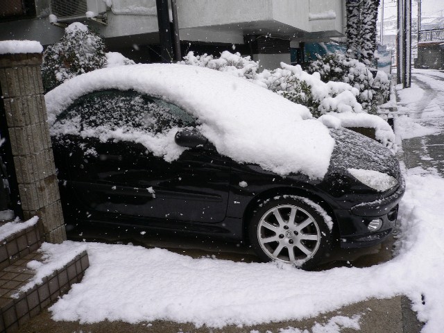 206cc_neige.jpg