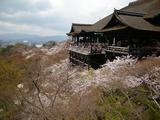 kyoto2010.jpg